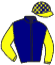 casaque portée par Bazire P. jockey du cheval de course RIVAL ORDER, information pmu ZETURF casaque portée par Bazire P. jockey du cheval de course RIVAL ORDER, information pmu ZETURF