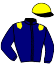 casaque portée par Provost D. jockey du cheval de course AMERICAN FLAG, information pmu ZETURF
