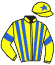 casaque portée par Demuro C. jockey du cheval de course HEART OF GOLD, information pmu ZETURF