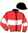 casaque portée par Marie Benj. jockey du cheval de course PRESOMPTION, information pmu ZETURF casaque portée par Marie Benj. jockey du cheval de course PRESOMPTION, information pmu ZETURF