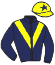 casaque portée par Lemaitre A. jockey du cheval de course TIM TOP, information pmu ZETURF casaque portée par Lemaitre A. jockey du cheval de course TIM TOP, information pmu ZETURF