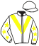 casaque portée par Lemaitre A. jockey du cheval de course TIGRESS OF GAUL, information pmu ZETURF casaque portée par Lemaitre A. jockey du cheval de course TIGRESS OF GAUL, information pmu ZETURF