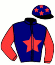 casaque portée par Gloria E. jockey du cheval de course DELLO SUN (FR), information pmu ZETURF