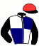 casaque portée par Raffin E. jockey du cheval de course ISSU DE CORTEM (FR), information pmu ZETURF