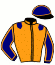casaque portée par Trihollet A. jockey du cheval de course GUIDE IMPERIAL (FR), information pmu ZETURF