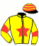 casaque portée par Beauchene Th. jockey du cheval de course ICONE DE CASTELLE, information pmu ZETURF