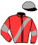 casaque portée par Norberg Mlle M. jockey du cheval de course GOLD DU METZ (FR), information pmu ZETURF