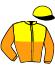 casaque portée par Abrivard M. jockey du cheval de course IGOR VICKING, information pmu ZETURF