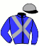 casaque portée par Verva M. jockey du cheval de course ILIADE MENCOURT, information pmu ZETURF