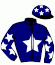 casaque portée par Raffin E. jockey du cheval de course HAMILTON DU PERCHE, information pmu ZETURF