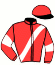 casaque portée par Vanmeerbeck J. jockey du cheval de course GAMIN DE FOURCHES, information pmu ZETURF