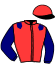 casaque portée par Huchede T. jockey du cheval de course GRAND DUC JIBAY, information pmu ZETURF