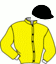 casaque portée par Baumer H. jockey du cheval de course HOLD UP MESLOIS, information pmu ZETURF