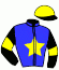 casaque portée par Raffin E. jockey du cheval de course LYXIE KNIGHT, information pmu ZETURF