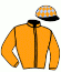 casaque portée par Chauve-laffay Ben. jockey du cheval de course IGNACE GUENESERIE, information pmu ZETURF casaque portée par Chauve-laffay Ben. jockey du cheval de course IGNACE GUENESERIE, information pmu ZETURF
