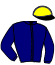 casaque portée par Ploquin Pau. Ph. jockey du cheval de course LIONEL DU DERBY, information pmu ZETURF casaque portée par Ploquin Pau. Ph. jockey du cheval de course LIONEL DU DERBY, information pmu ZETURF