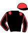 casaque portée par Permentier Y. jockey du cheval de course KRISTAL D'ANGELY, information pmu ZETURF