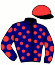 casaque portée par Poirier M. jockey du cheval de course EGERIE DES JOSCO (FR), information pmu ZETURF