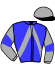 casaque portée par Jarry J. M. jockey du cheval de course EQUIN DE GRAVEL (FR), information pmu ZETURF