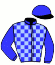 casaque portée par Gallier Ch. jockey du cheval de course HALIKA ROUSSETIERE (FR), information pmu ZETURF