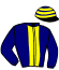 casaque portée par Desmottes A. jockey du cheval de course HALDO DE LA CLOUE (FR), information pmu ZETURF