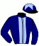 casaque portée par Janneau Mme Cha. jockey du cheval de course LA REGLE DU JEU (FR), information pmu ZETURF