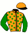 casaque portée par Riou C. jockey du cheval de course GILOU CAT (FR), information pmu ZETURF