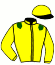 casaque portée par Guyon M. jockey du cheval de course NICE STROKE, information pmu ZETURF