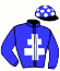 casaque portée par D' Andigne O. jockey du cheval de course GOT FOX, information pmu ZETURF