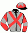 casaque portée par Denis P. jockey du cheval de course HALCO DE SARTI, information pmu ZETURF