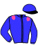 casaque portée par Jublot I. jockey du cheval de course FLICKA DU PERCHE, information pmu ZETURF