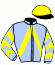 casaque portée par Joseph F. jockey du cheval de course KRONOS DU CHATELET, information pmu ZETURF casaque portée par Joseph F. jockey du cheval de course KRONOS DU CHATELET, information pmu ZETURF