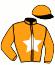 casaque portée par Lebouc Hug. jockey du cheval de course SERENITE DES ROSES, information pmu ZETURF
