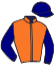 casaque portée par Boche Dam. jockey du cheval de course VIANETA, information pmu ZETURF