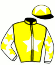 casaque portée par Paillard S. jockey du cheval de course MINOTOR DES MOTTES, information pmu ZETURF