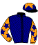 casaque portée par Bourguigneau Tom jockey du cheval de course MAGIC ELON, information pmu ZETURF casaque portée par Bourguigneau Tom jockey du cheval de course MAGIC ELON, information pmu ZETURF