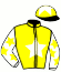 casaque portée par Paillard S. jockey du cheval de course MINOTOR DES MOTTES, information pmu ZETURF casaque portée par Paillard S. jockey du cheval de course MINOTOR DES MOTTES, information pmu ZETURF