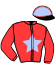 casaque portée par Ploquin Pau. Ph. jockey du cheval de course LADY DE SAFRAN, information pmu ZETURF