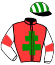 casaque portée par Lelievre Mlle C. jockey du cheval de course INDIGO DE BANVILLE, information pmu ZETURF casaque portée par Lelievre Mlle C. jockey du cheval de course INDIGO DE BANVILLE, information pmu ZETURF