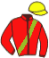 casaque portée par Jouault H. jockey du cheval de course GOLD GEDE, information pmu ZETURF casaque portée par Jouault H. jockey du cheval de course GOLD GEDE, information pmu ZETURF