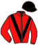 casaque portée par Busnel K. jockey du cheval de course JACOTTE DE TIZE, information pmu ZETURF