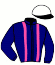 casaque portée par Douaneau E. jockey du cheval de course HARBOUR D'ORGERES, information pmu ZETURF