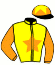 casaque portée par Fleury Mme Man. jockey du cheval de course KING SPORT, information pmu ZETURF casaque portée par Fleury Mme Man. jockey du cheval de course KING SPORT, information pmu ZETURF