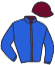 casaque portée par Besnier H. jockey du cheval de course MONTY, information pmu ZETURF casaque portée par Besnier H. jockey du cheval de course MONTY, information pmu ZETURF