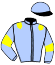 casaque portée par Martinet R. jockey du cheval de course FLASH DU CAIEU (FR), information pmu ZETURF