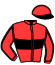 casaque portée par Nion Ga. jockey du cheval de course HOLLYWOOD FAIR (FR), information pmu ZETURF