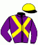 casaque portée par Raffin O. jockey du cheval de course FEDORA DU CHATELET, information pmu ZETURF