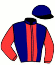 casaque portée par Divare P. jockey du cheval de course DAKOTA DE PLOMB, information pmu ZETURF