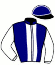 casaque portée par Moinon G. jockey du cheval de course JOY DES DIMANCHE, information pmu ZETURF
