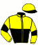 casaque portée par Luciani Luc. jockey du cheval de course HERACLES DU LAYON, information pmu ZETURF